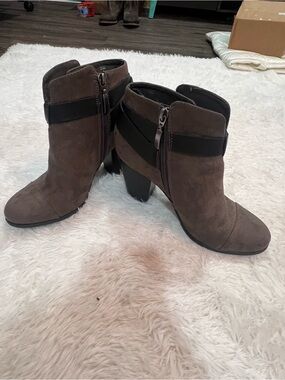 Limelight Taupe Suede Ankle Booties with Black Strap